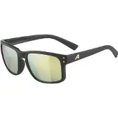 Alpina Sunglasses Kosmic Black Gold Matt/Gold Mirror