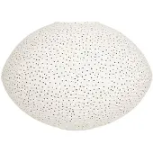 OYOY Abat-jour En Papier Moyo-klein | L300858\102\One Size