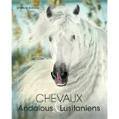 Place Des Victoires Eds Chevaux andalous et lusitaniens