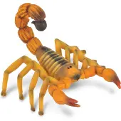 Collecta Figurine Insecte : Androctonus (Scorpion)