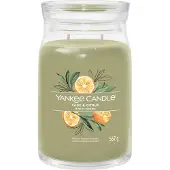 Yankee candle Sage & Citrus bougie parfumée Signature 567 g