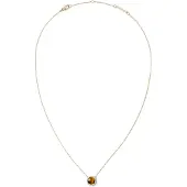 Daniel Wellington Beautiful Gold-Plated Necklace With Tiger Eye And Crystals Audrey Dw00401445
