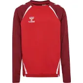 Hummel Sweat de sport 'Lead 2.0' rouge / rouge foncé / blanc