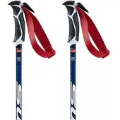 Swix Wc Pro Slalom Poles Multicolore 125 cm