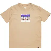 Dc-shoes T-shirt à Manches Courtes Metallic Star