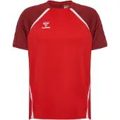Hummel T-Shirt fonctionnel 'Lead 2.0' rouge / rouge foncé / blanc