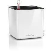 Lechuza Cube Glossy 14 - 14x14x14 Cm - Kit Complet, Blanc Ultra Brillant