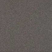 Praxis Carrelage de sol Gres 30 x 30 cm anthracite