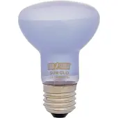 Exo Terra Lumière Du Jour