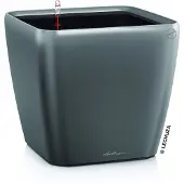 Lechuza Jardinière de table QUADRO LS 21 ALL-IN-ONE Charbon métallique