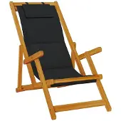 vidaXL Chaise de plage avec accoudoirs Pliable Noir Acacia Textilène