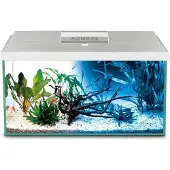 Aquael Shirmp D And N Complete Aquarium 19l Blanc