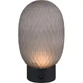 TRIO Lampe de table LED, fumé, variateur tactile, batterie, H 20,5 cm