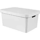 Curver Boîte de rangement (45 l, 56 x 39 x 27 cm)
