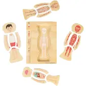 Bigjigs Puzzle anatomique en bois - Garçon, 26 pièces.
