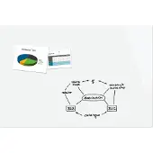Sigel Tableau magnétique en verre Be!Board, (l)1.800 x (h)1.200 mm, blancá (Tableau magnétique, 180 x 120 cm)