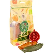 Garden Bites Veggie Buddies friandise pour chien