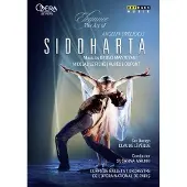 Uvm Distrib Cnt Siddharta DVD