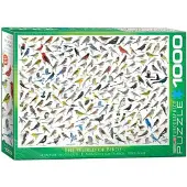 Sonstige Verlage Le monde des oiseaux par David Sibley
