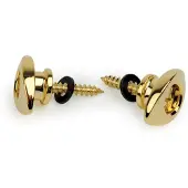 Daddario Elliptical End Pins Gold