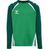 Hummel Sweat de sport 'LEAD 2.0' sapin / vert fluo / blanc