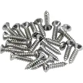 Fender TM) PG Mounting Screws chrome (24) (Pièces de rechange pour instruments), Instrument : accessoires, Argent