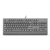 Lenovo Preferred Pro II, pleine taille (100%), filaire, USB, interrupteur à poussoir, noir