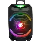 N-Gear THE FLASH 1550D - Enceinte Karaoké - 15" Woofer - Bluetooth - LED Light Show - Microphones sans fil inclus