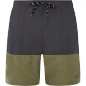 Protest Shorts de bain 'PRTFreddie' vert