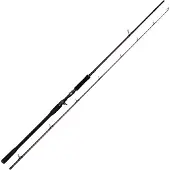 Westin Canne Baitcasting W4 Powershad-t 2nd