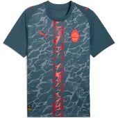 Puma Maillot 'FC Shakhtar Donetsk 25/26' gris / graphite / rouge feu