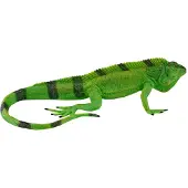 Mojo Fun Mojo Wildlife Leguaan - 381095