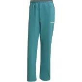 Adidas Terrex Multi Liteflex Pants Gris S / Regular Homme