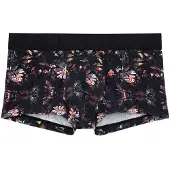 Hom Boxer court