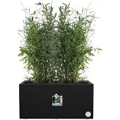 Elho Pot de Plante Rectangulaire Noir Elho Moderne | 78 cm Plastique