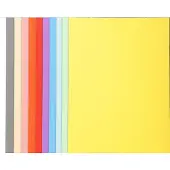 Exacompta Chemises FOREVER 180, DIN A4, couleurs assorties (A4, 100x)