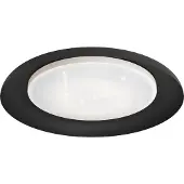 Eglo Plafonnier noir Penjamo Ø 46,5 cm