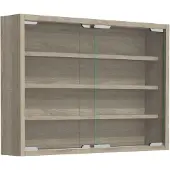 VCM Bois verre suspendu vitrine murale collectionneur vitrine Agisa M