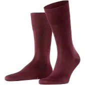 Falke Homme FALKE baroloUnicolore