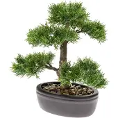 Driesprong Collection Bonsaï de cèdre artificiel Vert 32 cm 420001