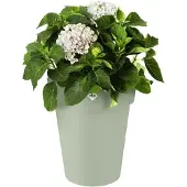 Elho Vaso Green Basics Top Planter High 35cm Verde Pietra