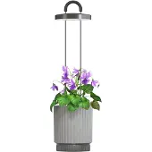 Click & Grow Vase En Céramique Hydrovase
