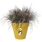 Elho Pot De Fleur Rond Loft Urban - Ø 30 X H.26 Cm - Ocre -