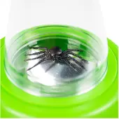 Bigjigs Hublot grossissant pour l'observation des insectes
