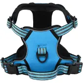 vidaXL Harnais réfléchissant réglable bleu L
