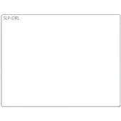 Seiko Instruments SLP-DRL - étiquettes pour badges - 320 étiquette(s)