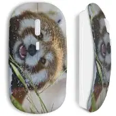 CAPACHEAP Souris sans fil Red panda