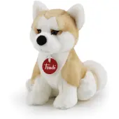 Trudi Akita Ascanio