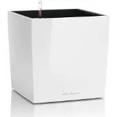 Lechuza Pot de Fleurs Auto-arrosant Lechuza Blanc 40 x 40 cm - Plastique Polypropylène Durable