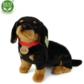 Rappa Chien teckel en peluche avec collier, 36 cm, ÉCOLOGIQUE